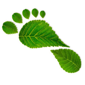 ZumaTours Green Footprint